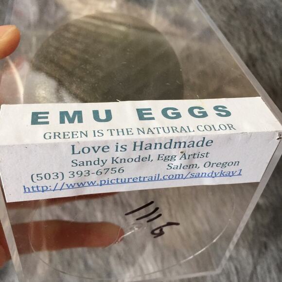 Polar bear painting on green emu egg - Picture 5 of 5